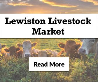 LEWISTON LIVESTOCK MARKET - JULY SALES