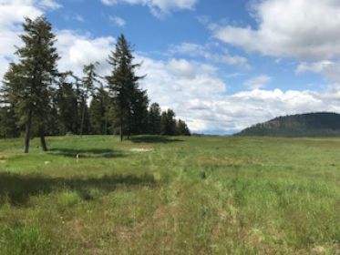 21 ACRE HORSE PROPERTY JUST 3 MILES WEST OF LOON LAKE 21 ACRE HORSE PROPERTY JUST 3 MILES WEST OF LOON LAKE
