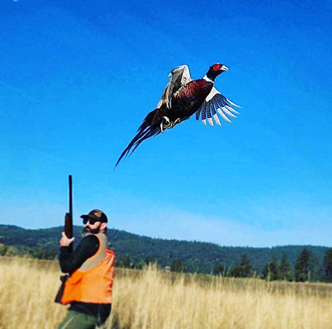 DOUBLE BARREL RANCH THE FINEST UPLAND BIRD HUNTING