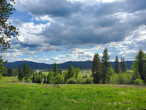 20 ACRE IMPROVED HOMESITES WITH FANTASTIC VIEWS