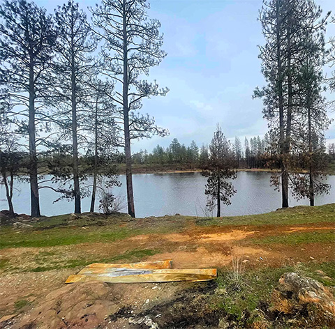 MEDICAL LAKE, WA: 26+ ACRES, TREED WITH A PRIVATE LAKE!