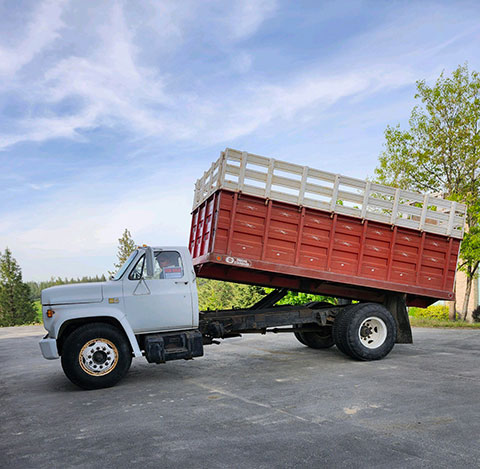 1980 CHEV TRUCK 1980 CHEV TRUCK
