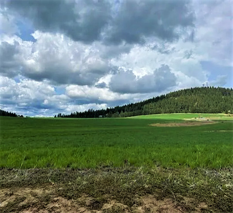 WORLEY, ID: 10-ACRE SUNNYSLOPES PARCEL $235,000