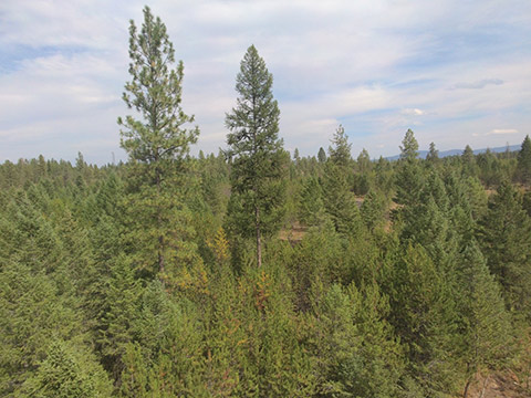 SUBDIVISION NEAR NEWPORT, WASHINGTON