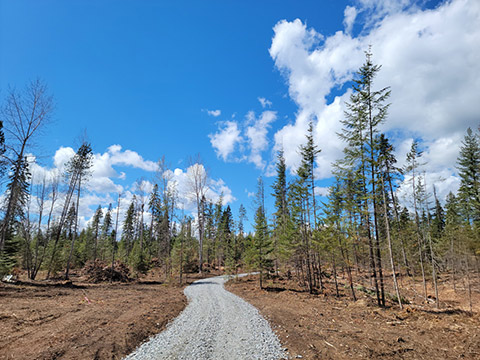 BEAUTIFUL 10 ACRE HOMESITE WITH CREEK NEAR USK