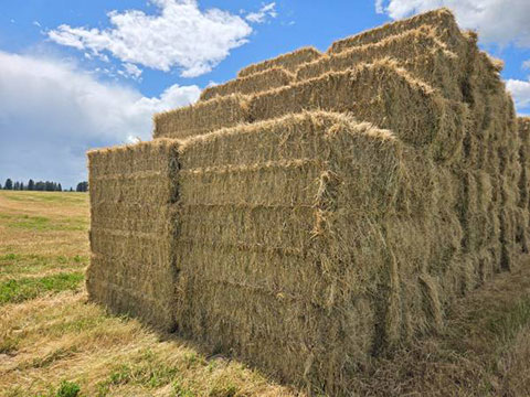 SMALL BALE STRAW 