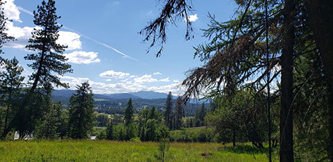 20 ACRE IMPROVED HOMESITES WITH FANTASTIC VIEWS