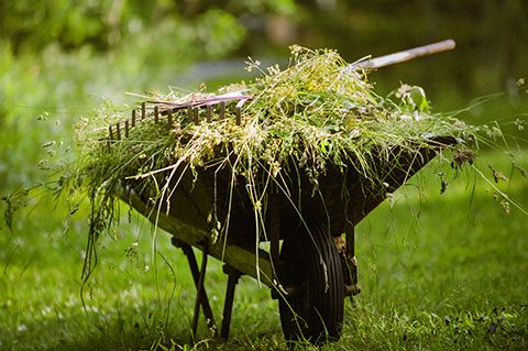 IT'S TIME FOR SPRING YARD CLEAN-UPS 