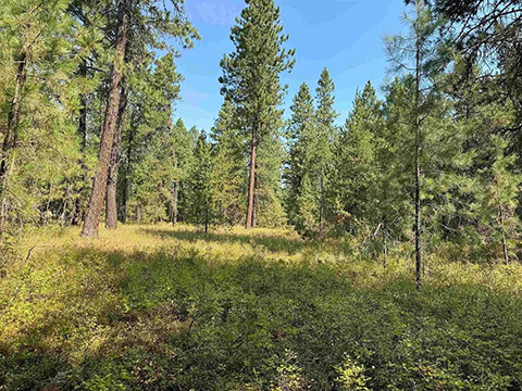 9.85 ACRES WITH GAS & POWER TO THE PROPERTY LINE 9.85 ACRES WITH GAS & POWER TO THE PROPERTY LINE