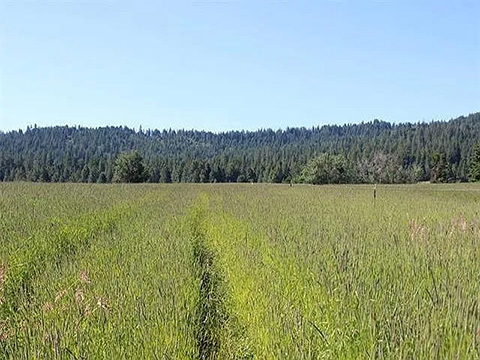 PRIVATE COUNTRY ESCAPE, 20 ACRES WITH PANORAMIC VIEWS PRIVATE COUNTRY ESCAPE, 20 ACRES WITH PANORAMIC VIEWS