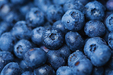 BLUEBERRIES ARE HERE! BLUEBERRIES ARE HERE!