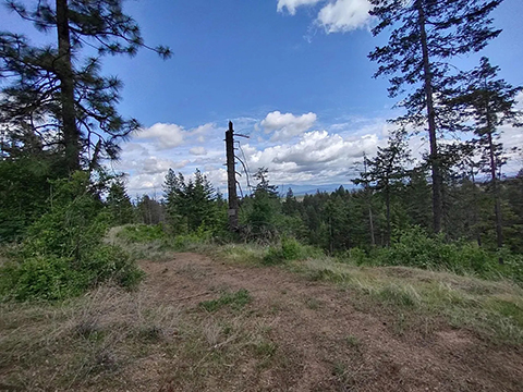 40 ACRES WITH GORGEOUS PANORAMIC VIEWS FROM MULTIPLE 40 ACRES WITH GORGEOUS PANORAMIC VIEWS FROM MULTIPLE