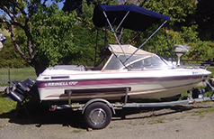 FAMILY FISHING/ SKIING BOAT FAMILY FISHING/ SKIING BOAT
