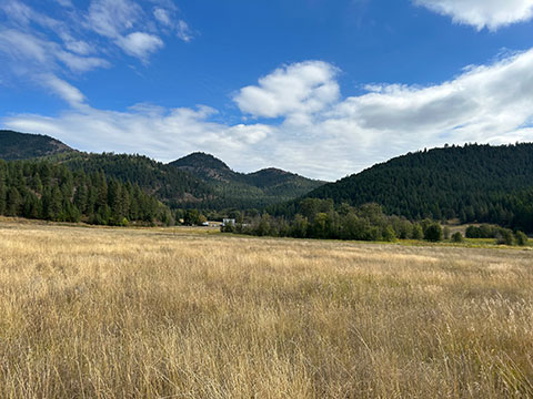 TWO CREEKS MERGE ON THIS 23 ACRE PARCEL TWO CREEKS MERGE ON THIS 23 ACRE PARCEL