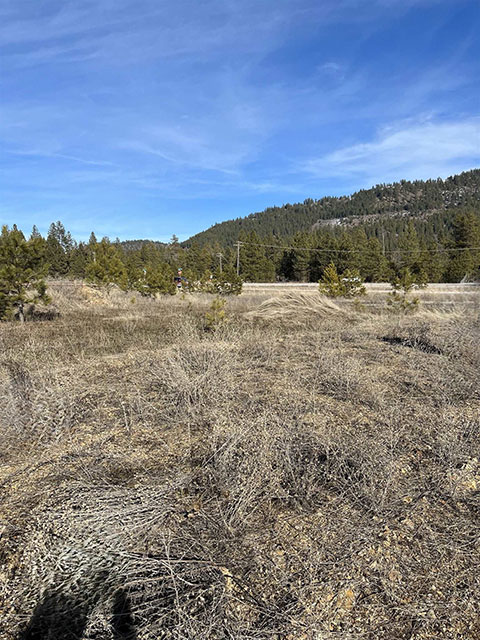 PARTIALLY TREED FLAT 3.25 ACRES PARTIALLY TREED FLAT 3.25 ACRES