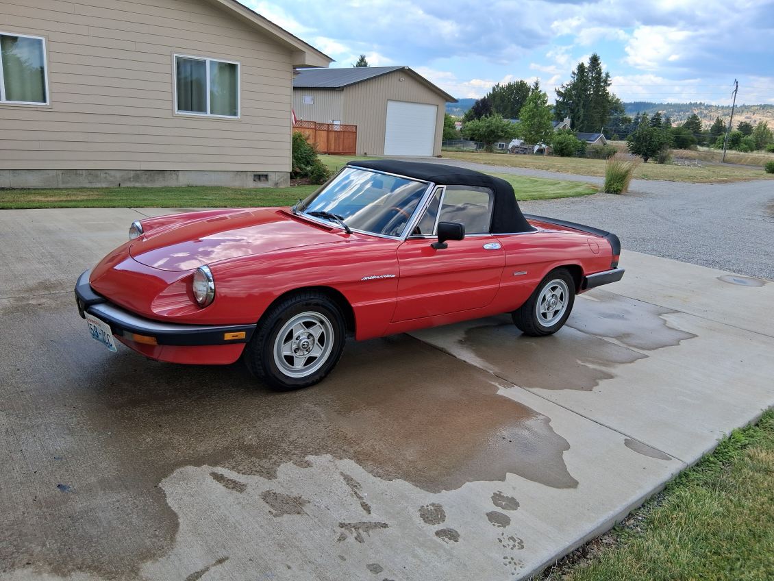 1987 ALFA ROMEO SPIDER/ VELOCE 1987 ALFA ROMEO SPIDER/ VELOCE