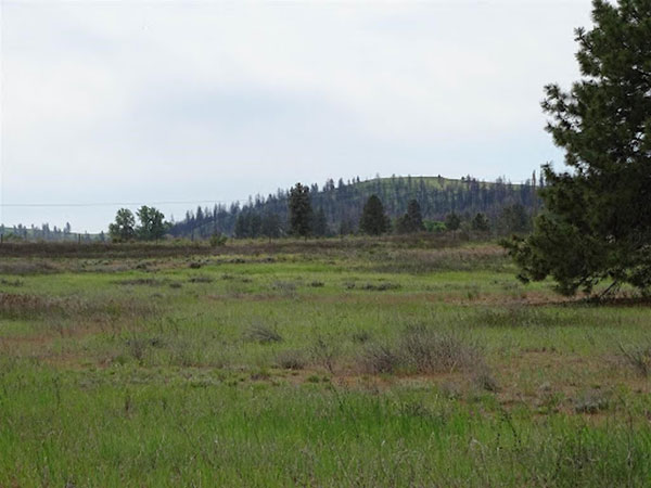 WHERE DO YOU FIND 22.14 ACRES OF BEAUTIFUL FLAT LUSH PASTURE WHERE DO YOU FIND 22.14 ACRES OF BEAUTIFUL FLAT LUSH PASTURE