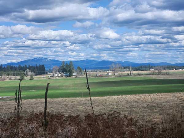 19.38 TREED ACRES WITH READY TO LIVE IN TINY HOME 19.38 TREED ACRES WITH READY TO LIVE IN TINY HOME