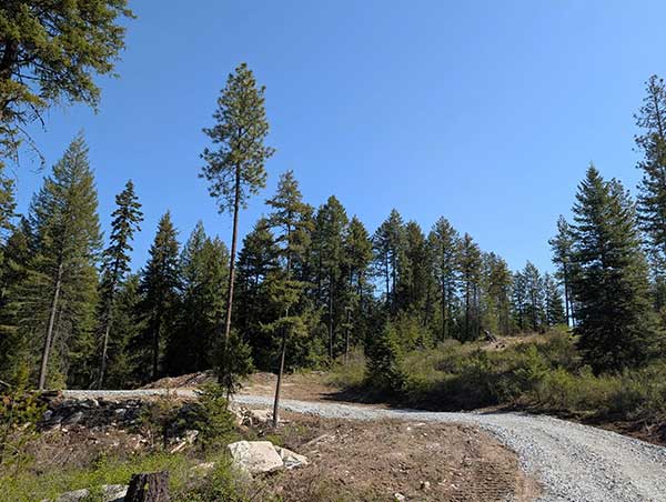 20 ACRE LOTS WITH 180 DEGREE VIEWS 20 ACRE LOTS WITH 180 DEGREE VIEWS