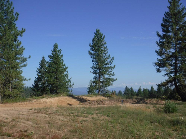VIEWS, VIEWS, VIEWS! 19+ ACRES, LOON LAKE VIEWS, VIEWS, VIEWS! 19+ ACRES, LOON LAKE