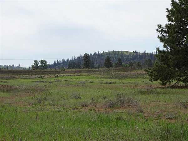WHERE DO YOU FIND 22.14 ACRES OF BEAUTIFUL FLAT LUSH PASTURE WHERE DO YOU FIND 22.14 ACRES OF BEAUTIFUL FLAT LUSH PASTURE