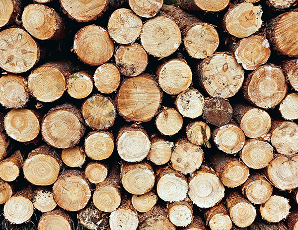 FIREWOOD FIREWOOD