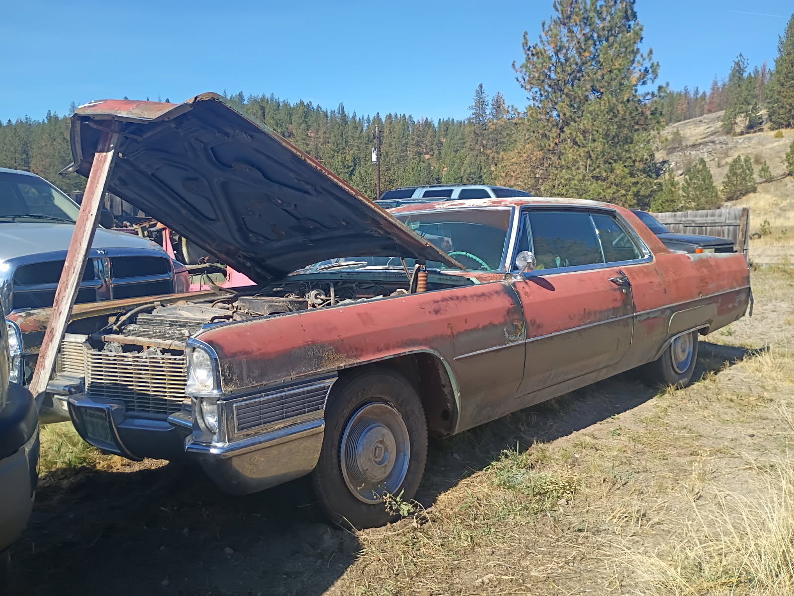 1965 CADILLAC COUPEVILLE 1965 CADILLAC COUPEVILLE