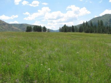 28+ ACRES FOR SALE IN STEVENS COUNTY WITH MOVEABLE BUILDING