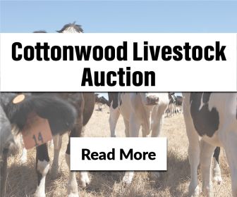 COTTONWOOD LIVESTOCK EXCHANGE SALE DATES