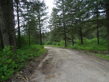 THREE 7 ACRE LOTS IN VALLEY, WASHINGTON THREE 7 ACRE LOTS IN VALLEY, WASHINGTON