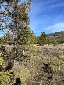 LOOKING FOR A UNIQUE ACREAGE MINUTES FROM LAKES? LOOKING FOR A UNIQUE ACREAGE MINUTES FROM LAKES?