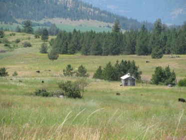 28+ ACRES FOR SALE IN STEVENS COUNTY WITH MOVEABLE BUILDING