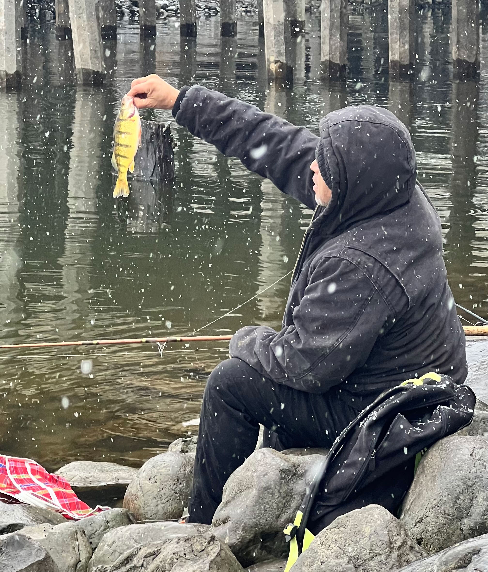 Oscar holding a perch caught at Moses Lake, showcasing the exceptional winter perch fishing conditions.