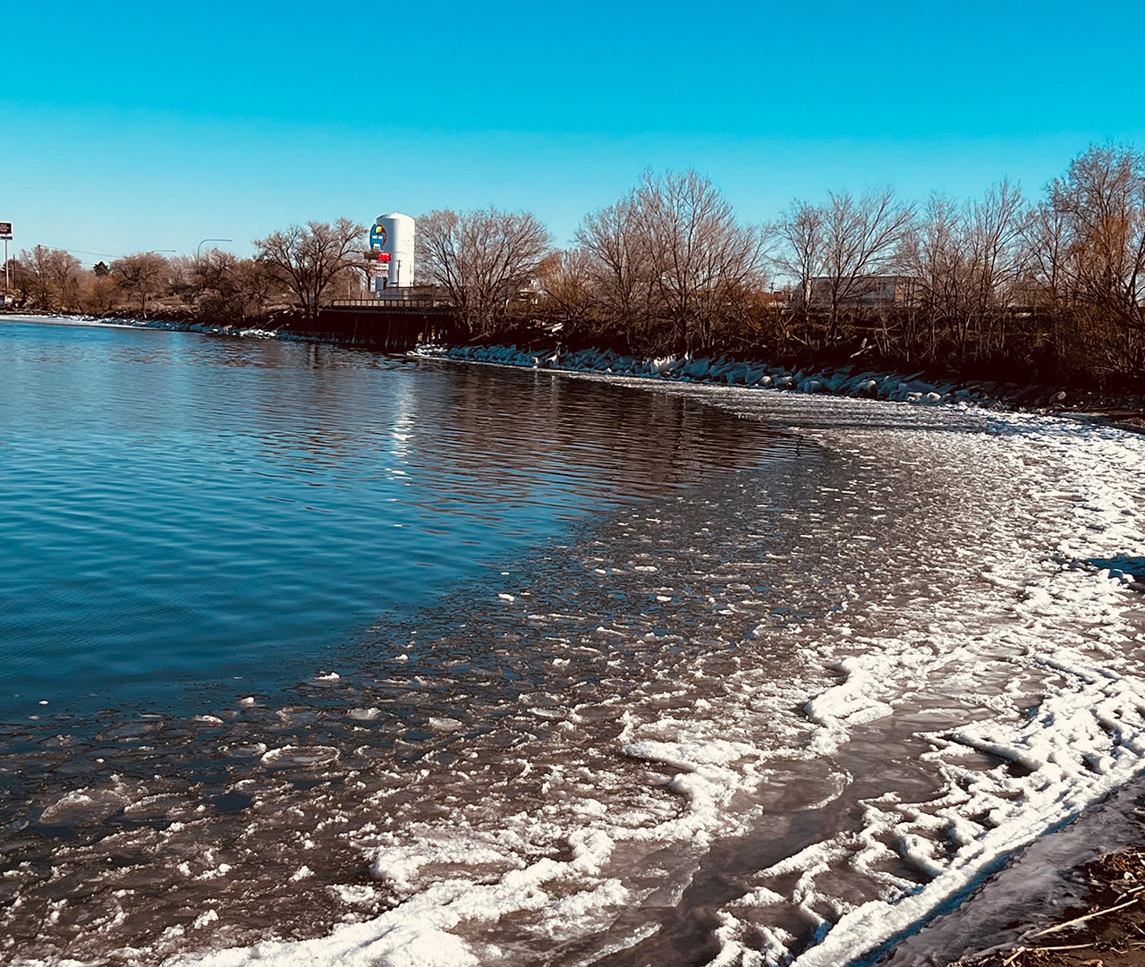 This week's photo is of the shore off Blue Heron Park with the I-90 Bridge in the background.