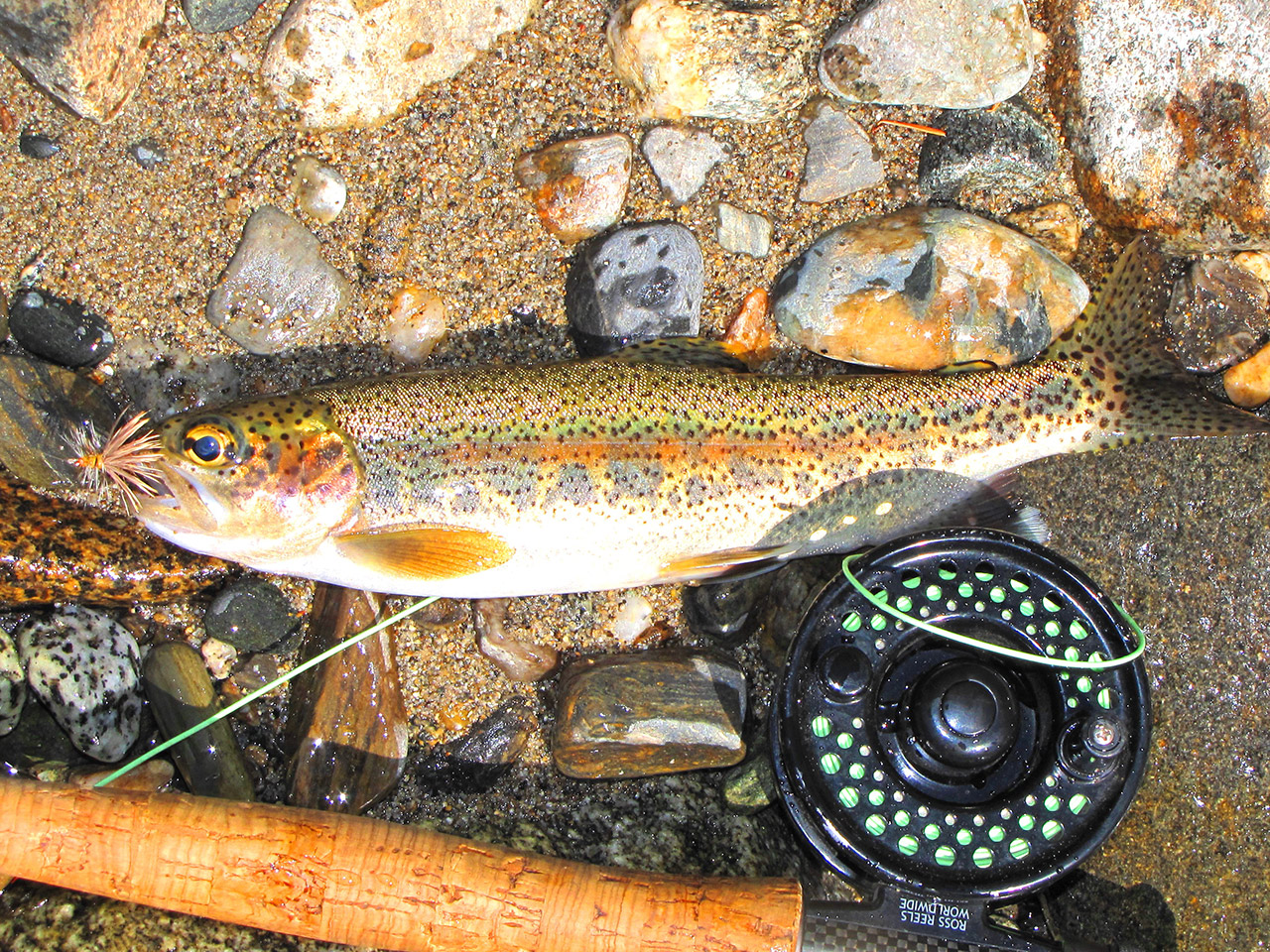 typical rainbow from the Icicle