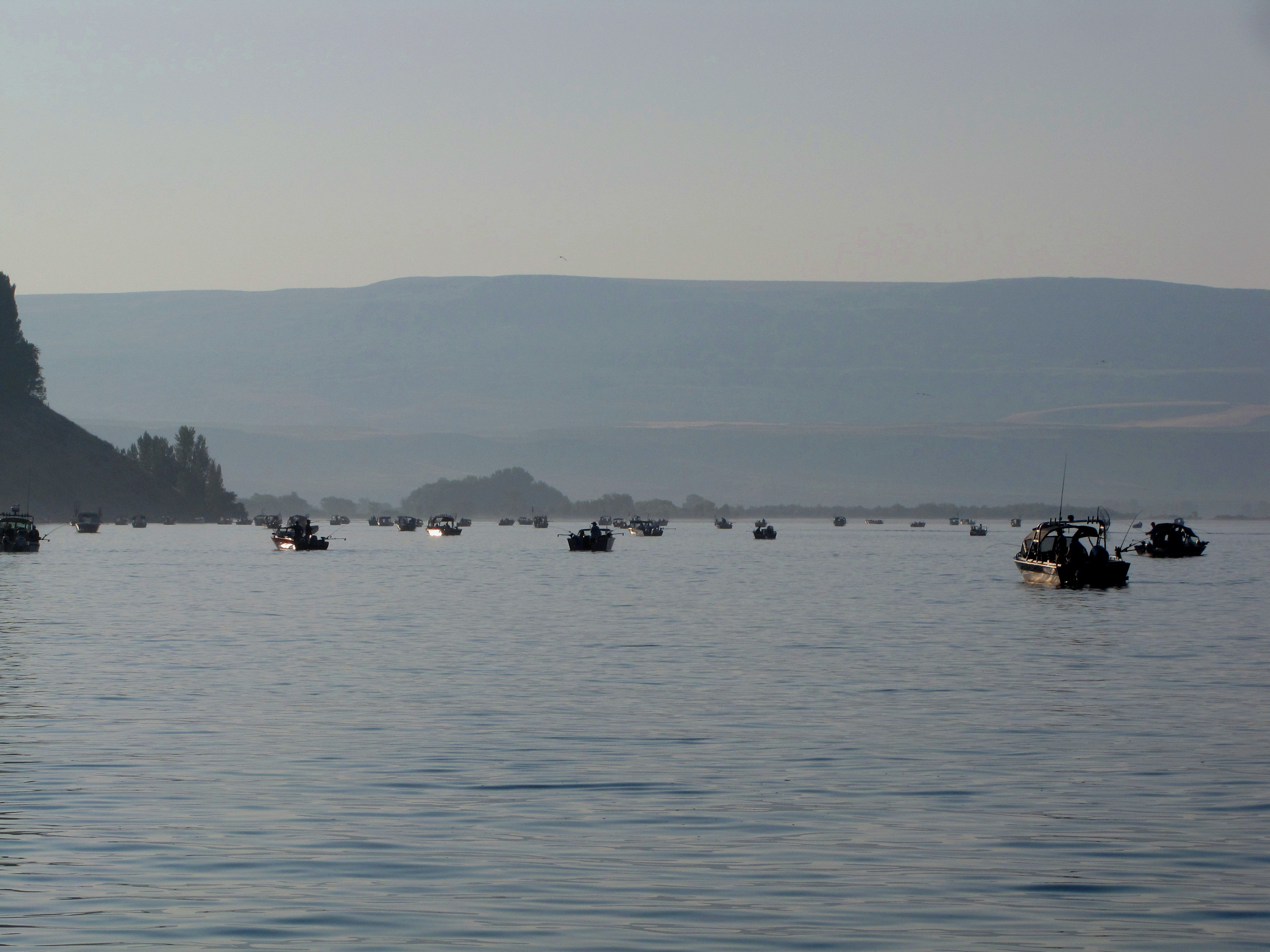 A fleet of fishing boats in the Brewster Pool, capturing the excitement of sockeye fishing on the upper Columbia River.