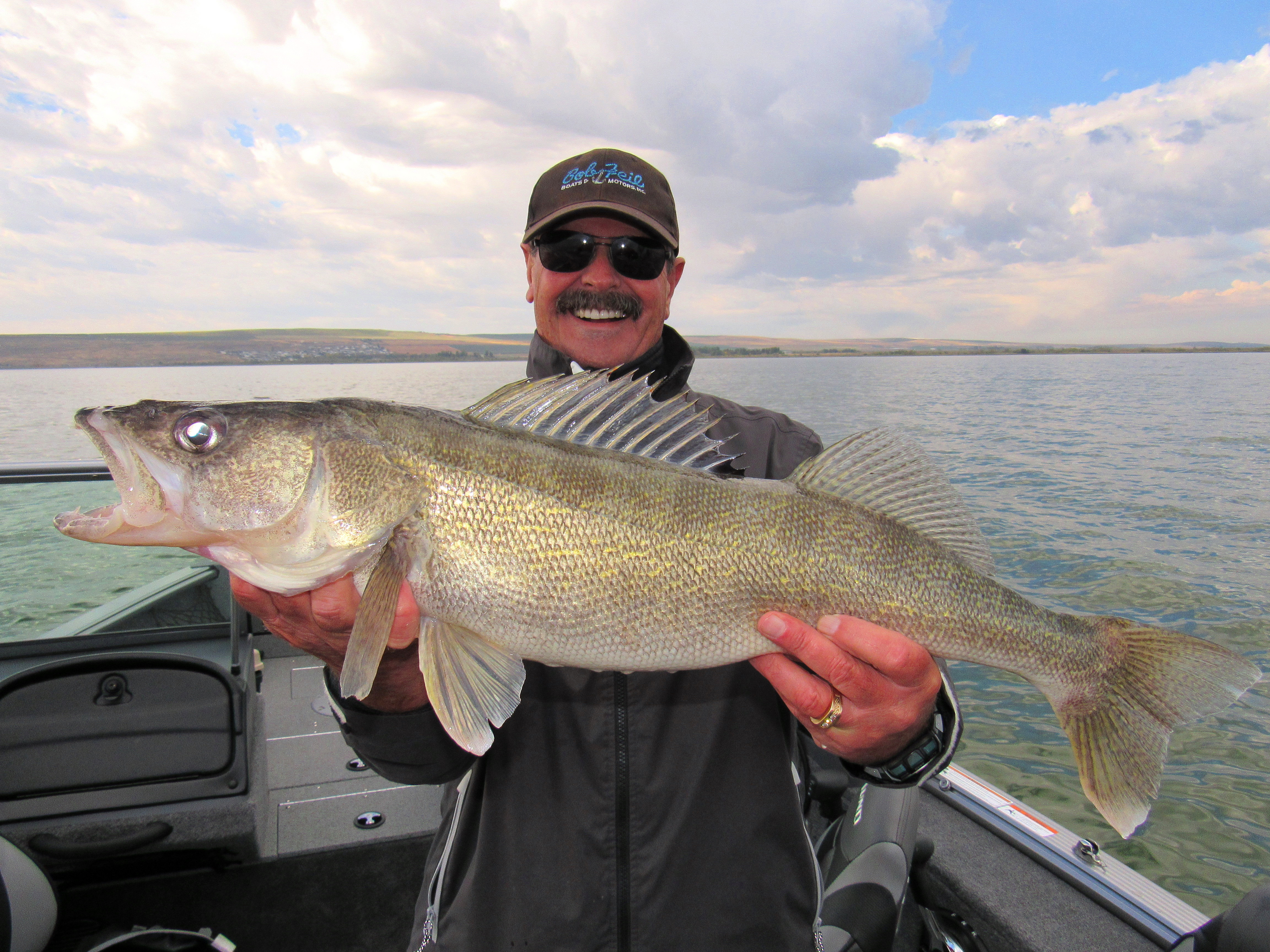 Dave Graybill holding a walleye caught during fall fishing at Potholes Reservoir.