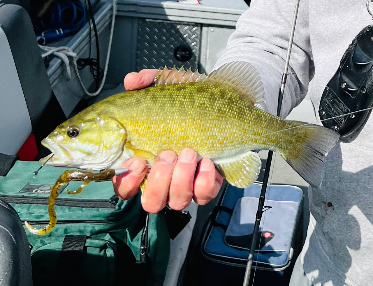 typical smallmouth from Banks.