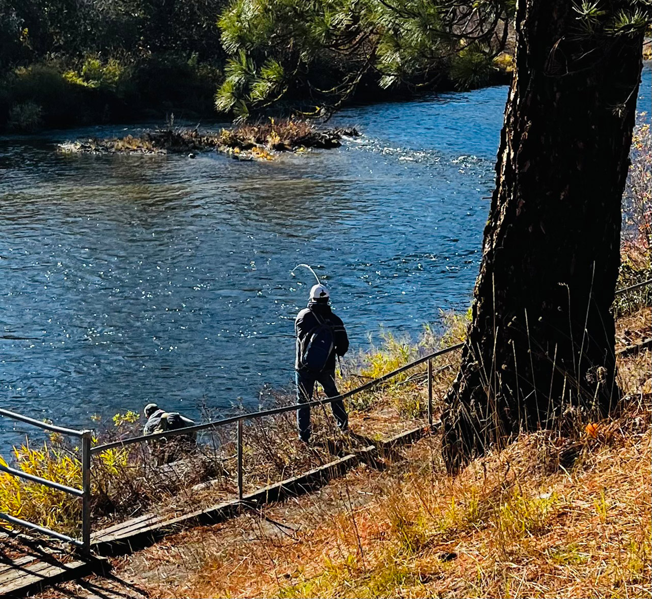 photo taken on the Icicle River November 2023