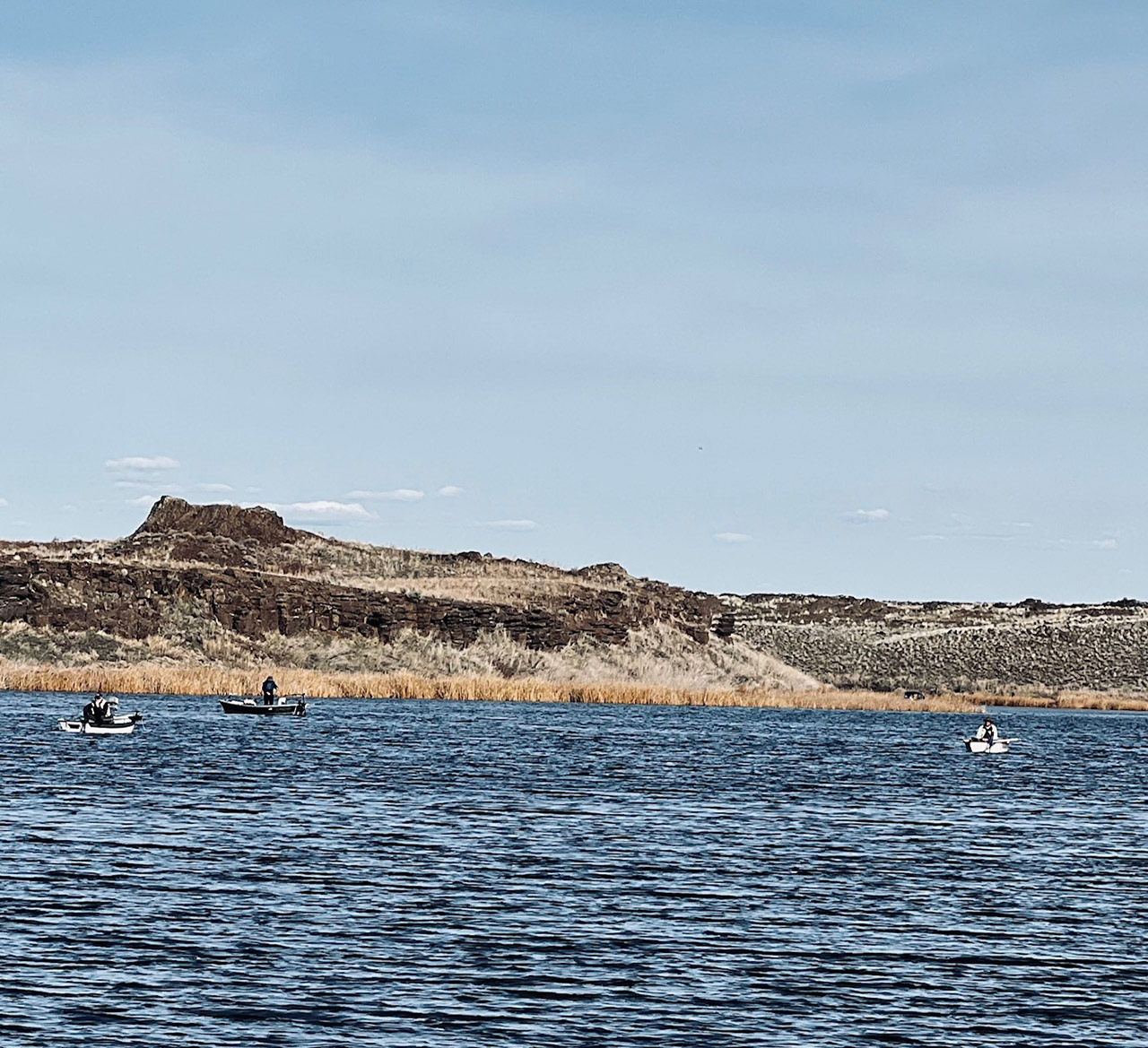 This week's photo is of the fly fishers on Quincy Lake.