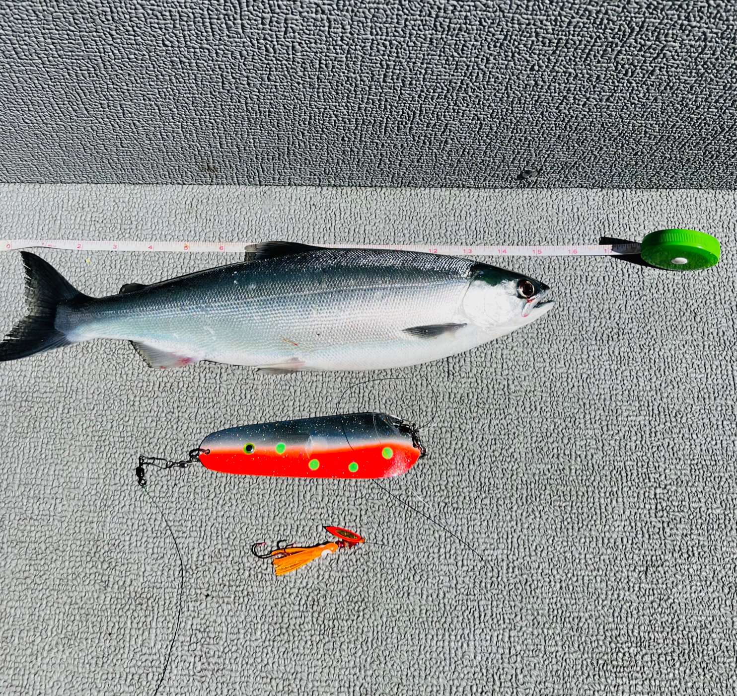 A selection of Kokabow blades and hoochie combos used for kokanee fishing, displayed against a backdrop of Lake Chelan.
