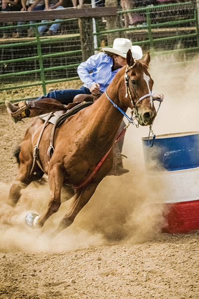 barrel racer